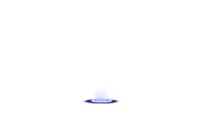 F24071651